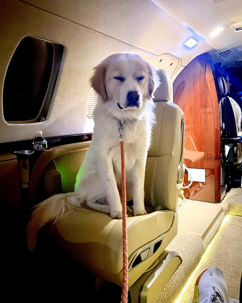 Wheels up