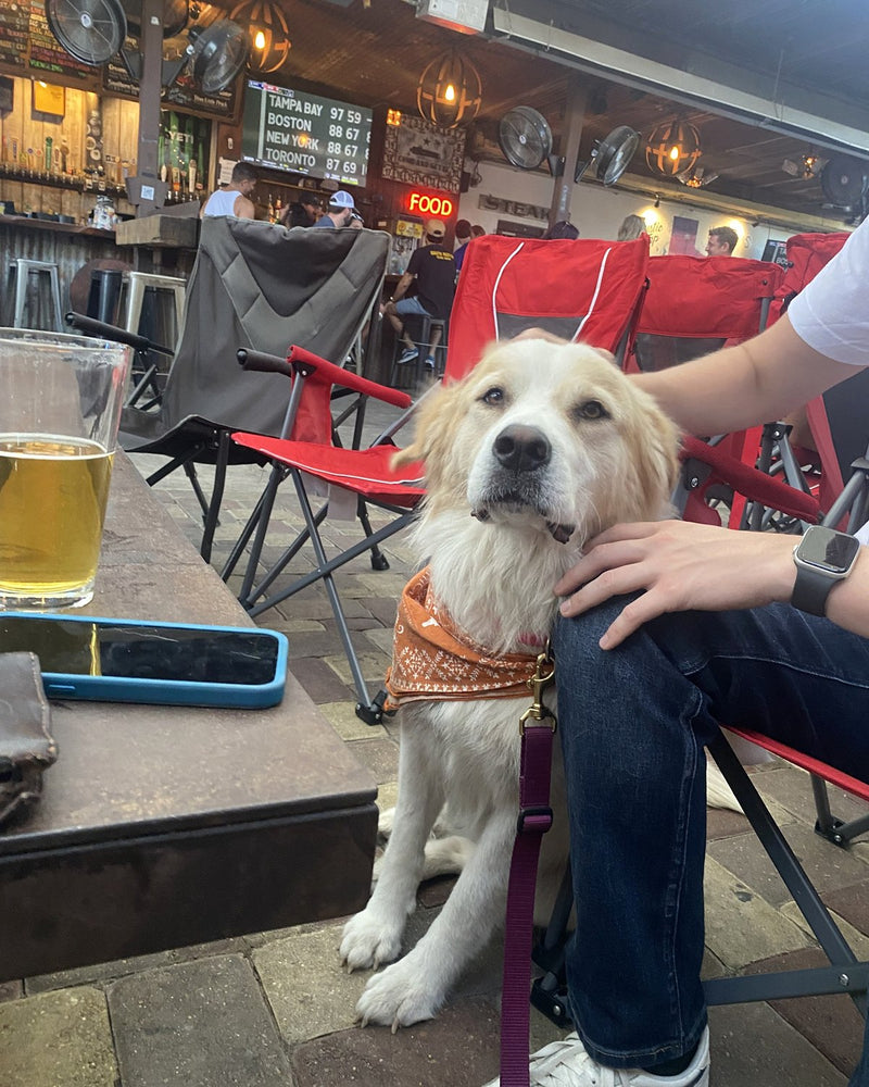 Happy hours